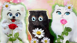 видео: ЭХ! Прошли Весёлые Денёчки! ПРИКОЛЬНЫЕ ВИДОСЫ  С НАШИМИ ЛЮБИМЫМИ ЗВЕРИКАМИ  подряд 5 серий картинка: ЭХ! Прошли Весёлые Денёчки! ПРИКОЛЬНЫЕ ВИДОСЫ  С НАШИМИ ЛЮБИМЫМИ ЗВЕРИКАМИ  подряд 5 серий