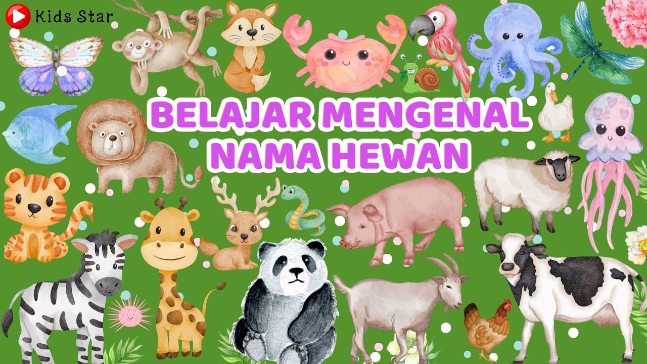100 NAMA HEWAN BAHASA INDONESIA & BAHASA INGGRIS | BELAJAR NAMA HEWAN BINATANG LEARN OF ANIMALS NAME
