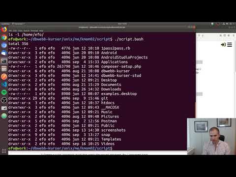 Assignment 2: Bash
