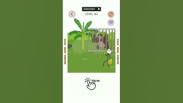 Thief Puzzle Level 112