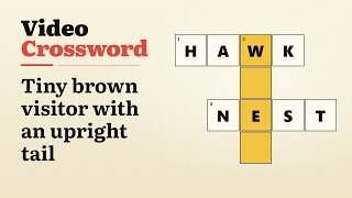 this bird crossword is impossible screenshot 5