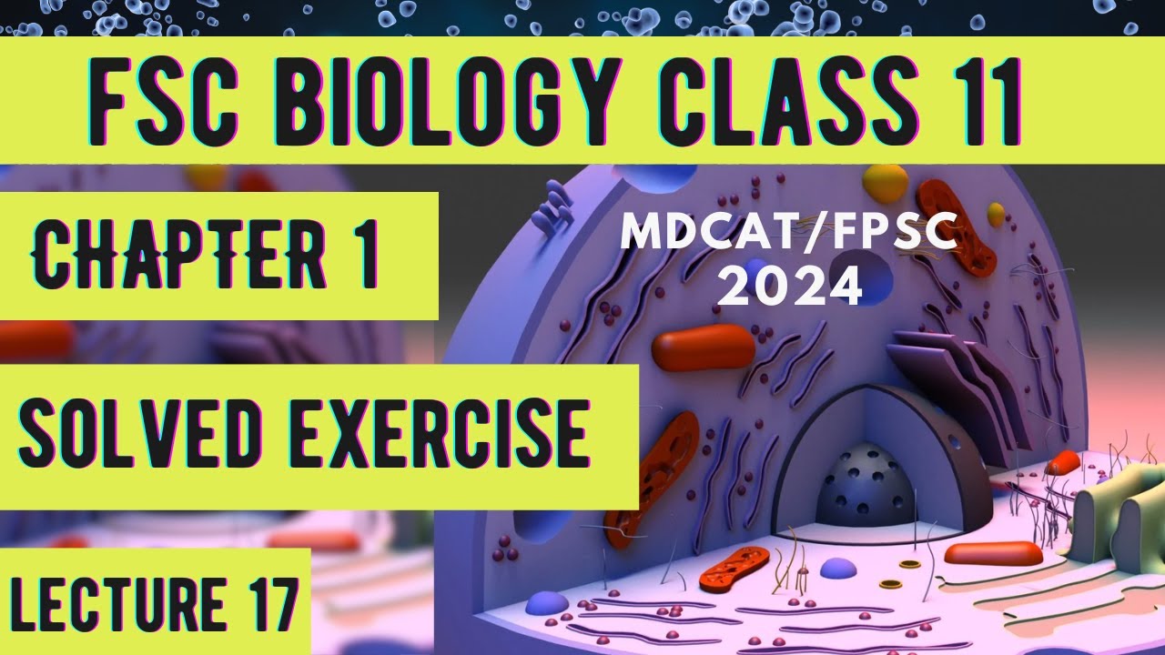 Solved exercise| MCQS & Short questions | Chapter 1 | Class 11 ...
