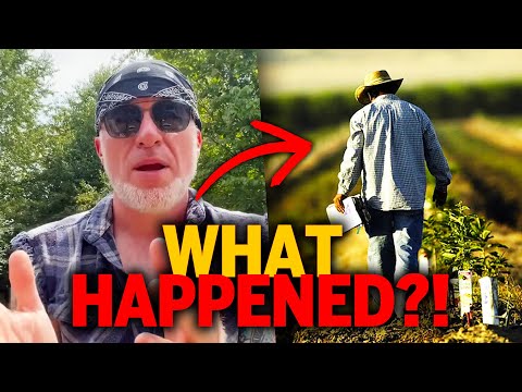 My Farmer Friend Just EXPOSED a Huge Problem