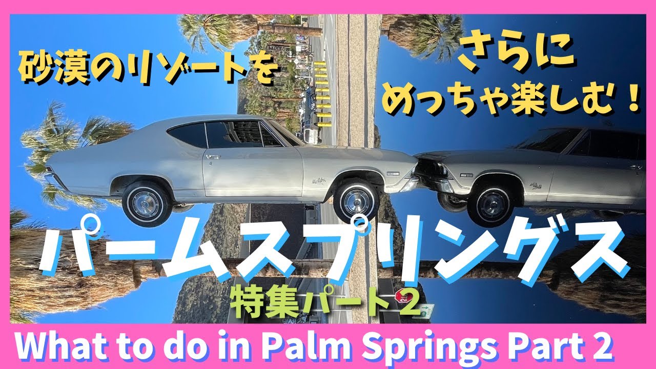 パームスプリングの週末 maxresdefault.jpg 洋画・外国映画
