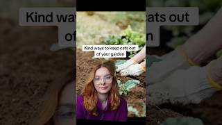 How to keep cats out of your garden (kindly) How to keep cats out of your garden (kindly)