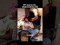 He had to be put to sleep #memes #shorts