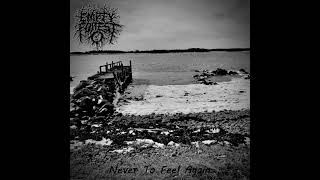 Empty Forest - Never To Feel Again (Full EP 2026)