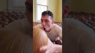 Download Lagu Found a GIANT coconut in a room full of them 🥥 #coconut #satisfying #shorts MP3