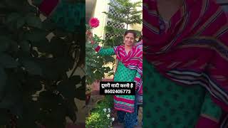 शादी के लिए जीवनसाथी चाहिएshaadi profile|shaadi.com|marriage profile|second marriage|Biodata