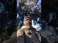Me gusta la naturaleza