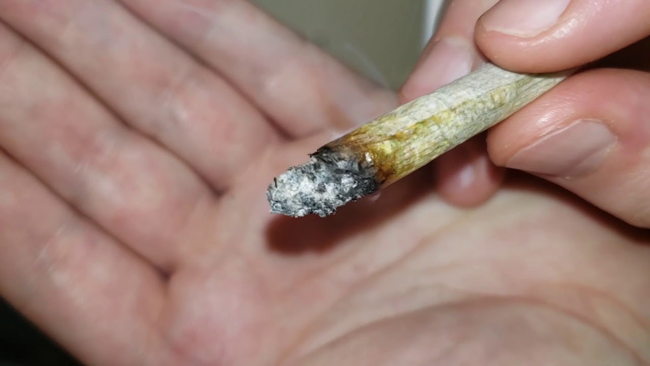 STRAIN REVIEW 102: critical kush - Lowpricebud