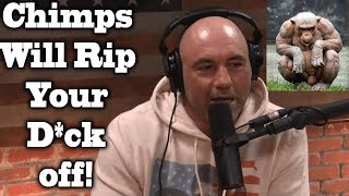 5 Most Common Things You Will Hear On The Joe Rogan Podcast | PowerfulJRE