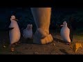 DreamWorks Madagascar | That's What I'm talking About  | Penguins of Madagascar Clip