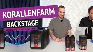 Korallenfarm Backstage -  Nyos Versorgungssystem in der Farm