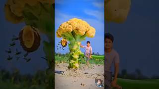 Jaadui gobhi photo pic wood toy-woodworking art skills hand woodworking #viral #shorts #trending