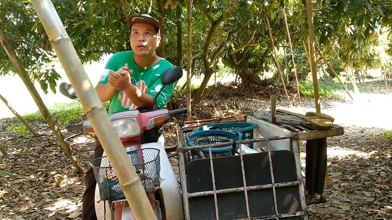 ลำไยดอกบาน ใส่น้ำมากไหม