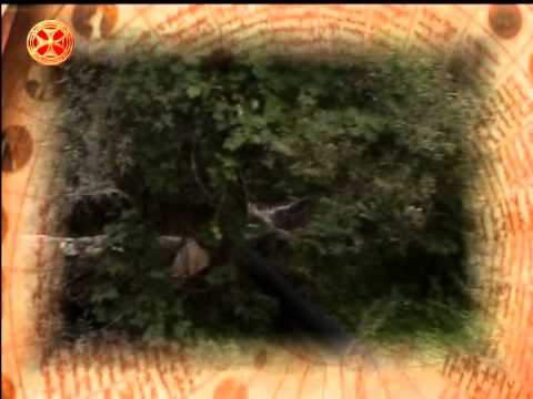 საეკლესიო კალენდარი - 22 თებერვალი