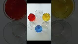 Rainbow walking water experiment