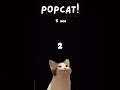 The Bizarre Internet Cat Songs of the 21st Century