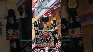 Ziarat taboot😭 #azadarishorts #yaali #azadari #28safarstatus #20safarchehlumimamhussain #fypyoutube