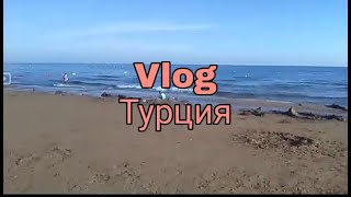 Vloq Турция