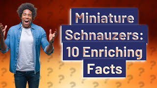 How Can Miniature Schnauzers Enrich My Life? Top 10 Facts to Know