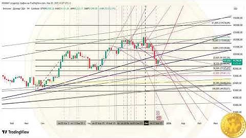 Сигнал к обзору 29-30/11/2025