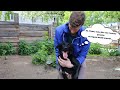 Необычная история пса из Томска. Почему его назвали Боинг?😯