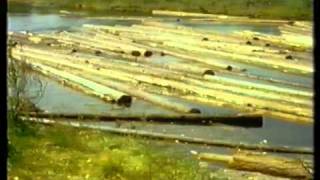 Flottning i Torvsjöån 1963