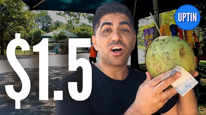 $40 Day in Brazil
