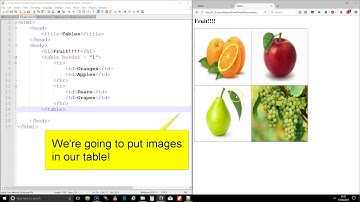 HTML 4 - Tables with Images
