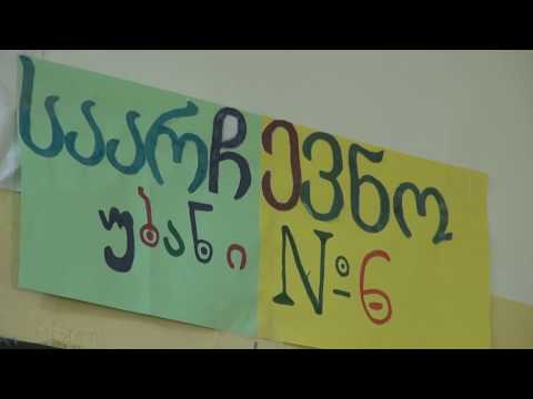 იმიტირებული არჩევნები მოსწავლეების მონაწილეობით