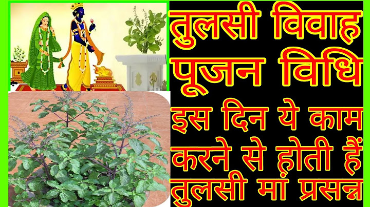 तुलसी विवाह कैसे करें | तुलसी विवाह पूजन विधि | Tulsi Vivah Puja Vidhi | Tulsi Vivah Kaise kare 2022