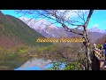 The amazing lakes of jiuzhaigou valleyfull
