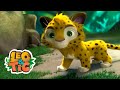 La piel del Sol y más aventuras de Leo & Tig | Caricatura animada 🐯🦁