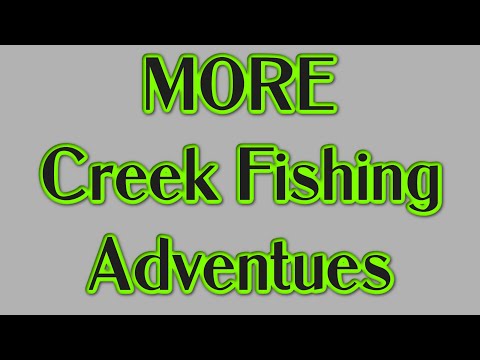 Is There More Creek Fishing Adventures?