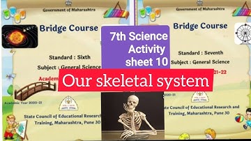 Activity sheet 10 of 7th Science bridge course