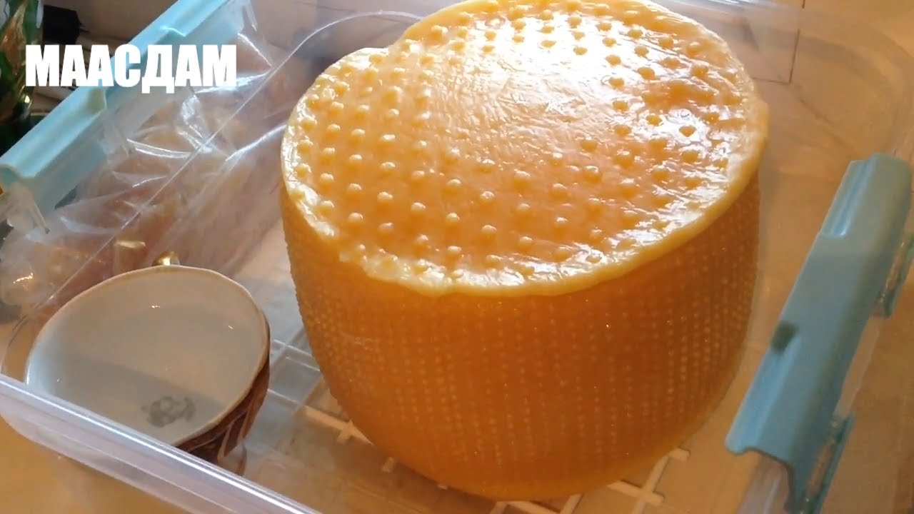 Маасдам/Как Сварить Сыр в Домашних Условиях/Рецепт швейцарского сыра