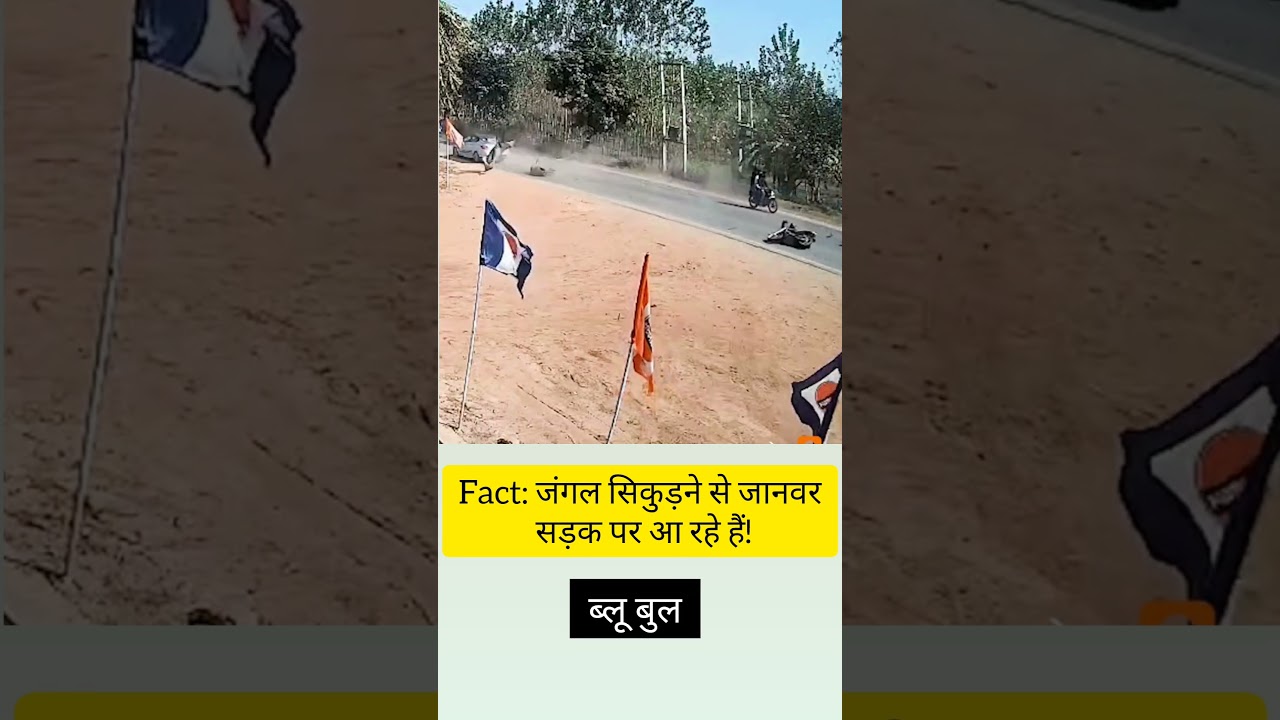 Fact: नीलगाय vs बाइक! UP का भयानक CCTV फुटेज, जानिए सड़क पर क्यों आ रहे हैं ये जानवर 😱