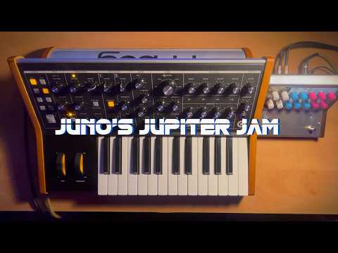 juno's jupiter jam (moog subsequent 25 jam)