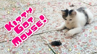 Kitty cat caught a mouse and is so happy