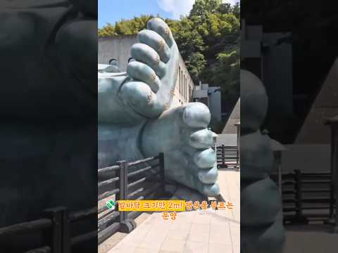 로또 당첨자가 지었다는 일본 사원의 정체 ⛩️ #후쿠오카여행 #난조인 #일본여행 #쇼츠 #후쿠오카가볼만한곳 #사찰여행