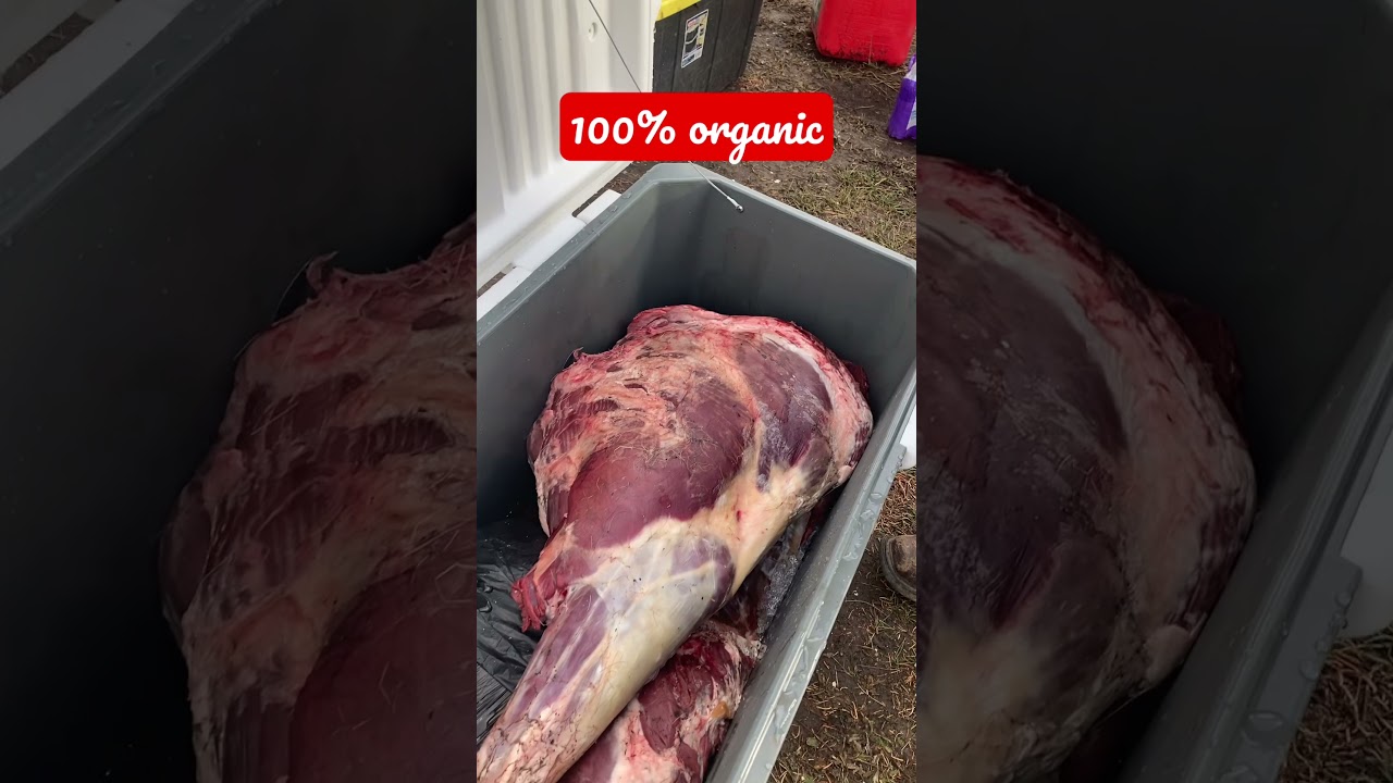 ELK MEAT!! ITS WHAT’S FOR DINNER! 