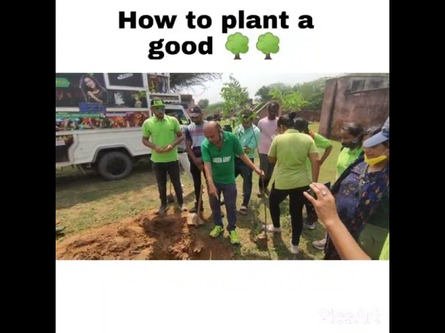 How to plant a tree sapling:  Practical Demo By Adv. Kuldeep Singh (Secretary Green Army Sansthan)