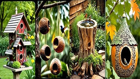 Attract More Birds! Stunning Bird-Friendly Garden Ideas You’ll Love!