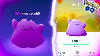 How to catch Ditto in Pokemon GO - Tech Advisor