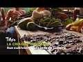 La chagra indígena: Sus cultivos, tradiciones e importancia cultural - TvAgro por Juan Gonzalo Angel