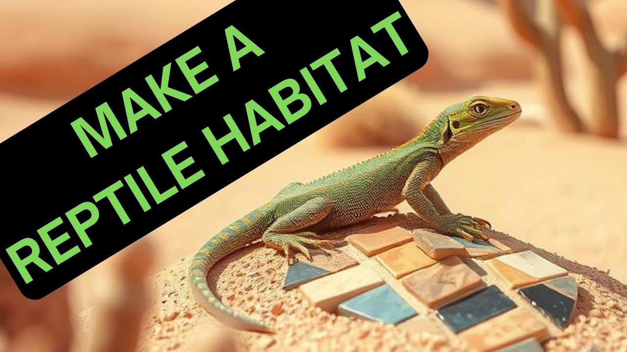 SECRET Lizard Hangouts in My Yard + DIY LIZZID PEEPLE HOUSES! - YouTube