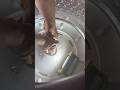 Fix for Whirlpool washer making loud aggressive noise in spin cycle.  #whirlpool #whirlpoolfix