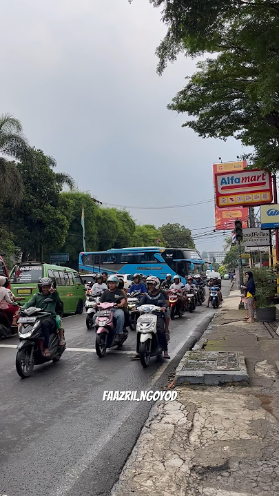 Telolet basuri viral marsha and the bear🎺 #basuri #telolet #busmania #viral